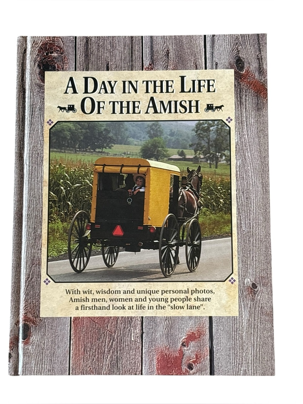 A Day in the Life of the Amish Hardcover 1994 Wit Wisdom